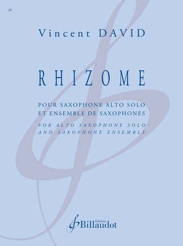 Rhizome  Visual